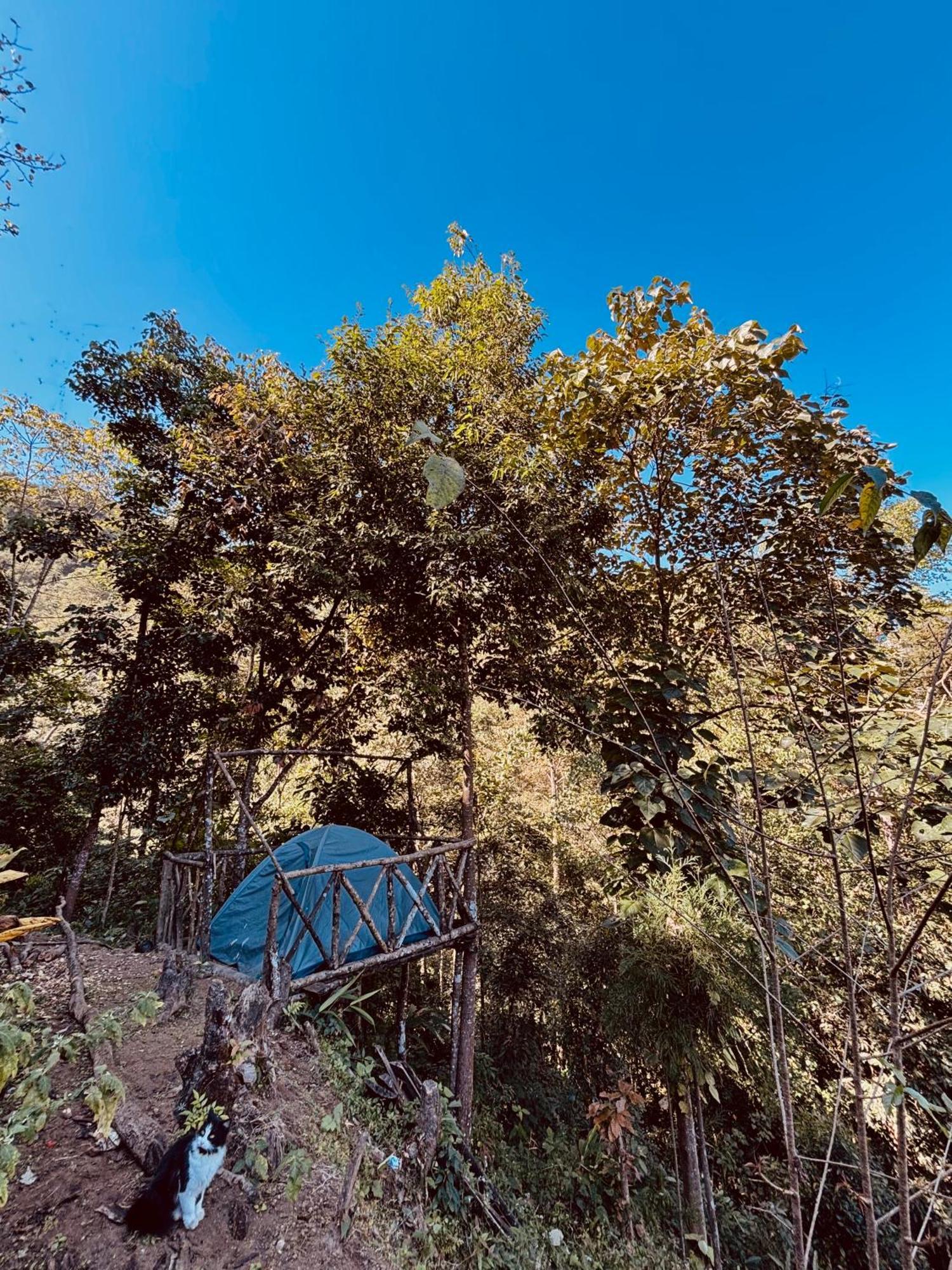 דרג'ילינג Hosanna Homestay מראה חיצוני תמונה