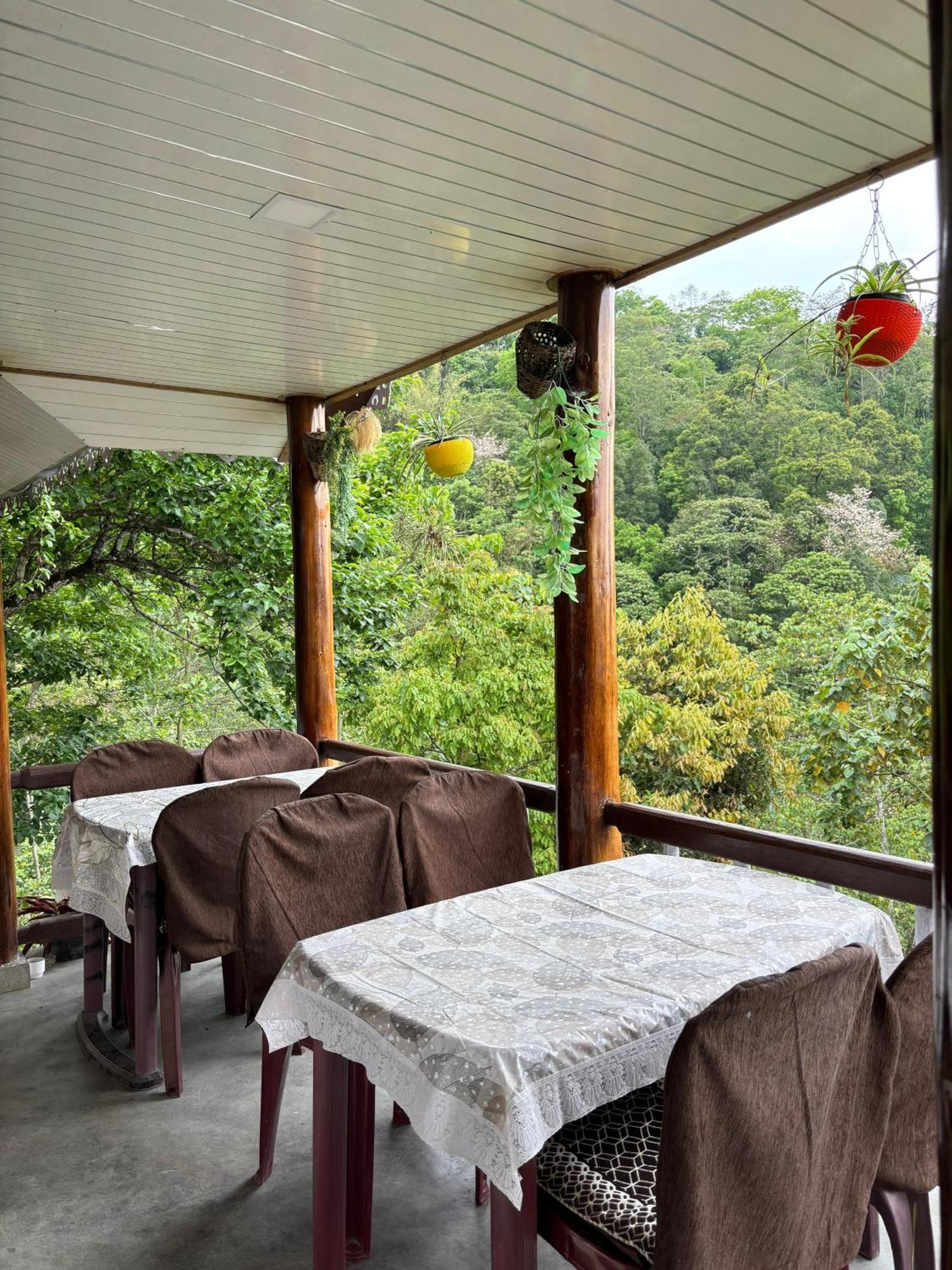 דרג'ילינג Hosanna Homestay מראה חיצוני תמונה